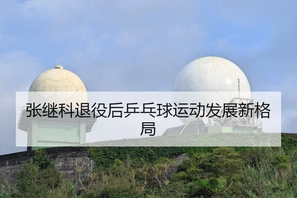 张继科退役后乒乓球运动发展新格局
